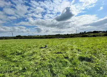 Kilcreevanty, Tuam, Co. Galway